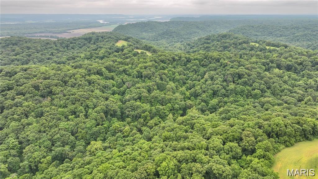 0 Franklin Hill Road Hardin, IL 62047 - Photo 1 of 1