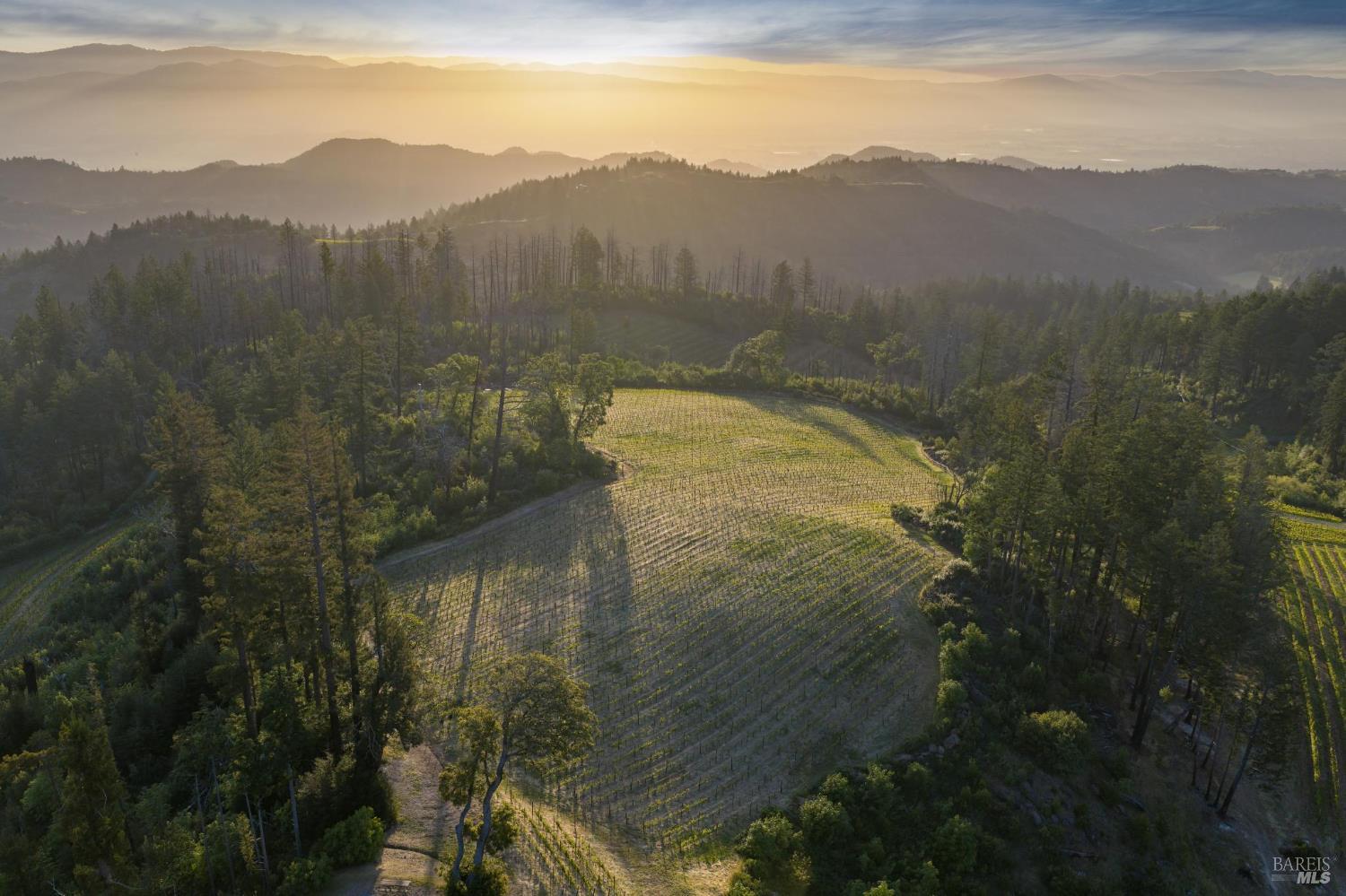 3801 Mt Veeder Road Napa, CA 94558 - Photo 6 of 22