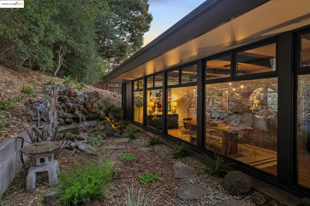 a view of a yard with plants and a large tree