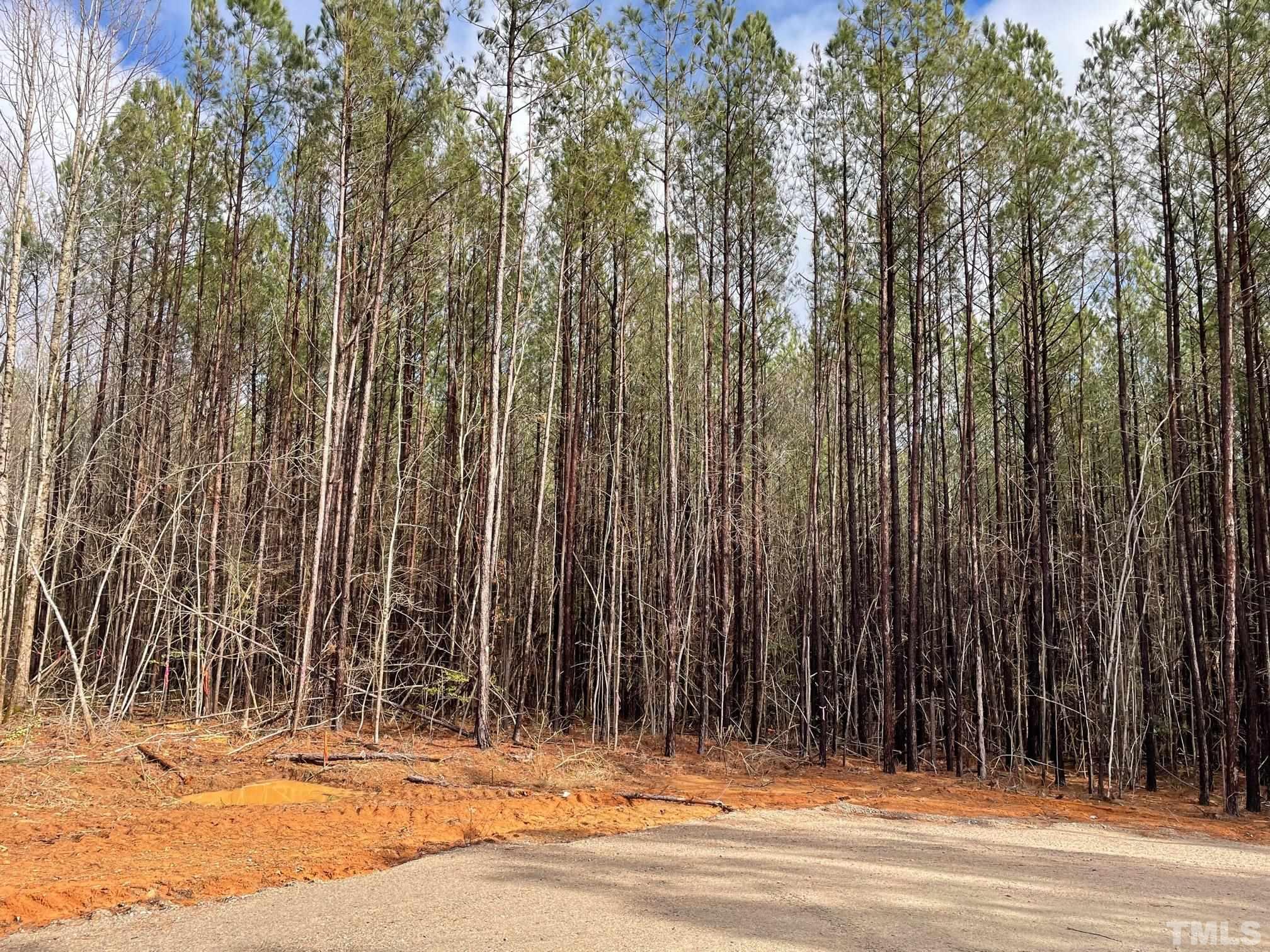 0 Fish Stallings Road Henderson, NC 27537 - Photo 1 of 7 a view of a terrace