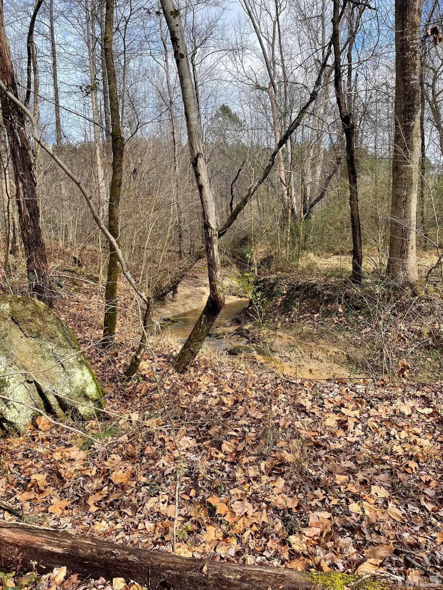 0 Fish Stallings Road Henderson, NC 27537 - Photo 3 of 7 a view of a yard