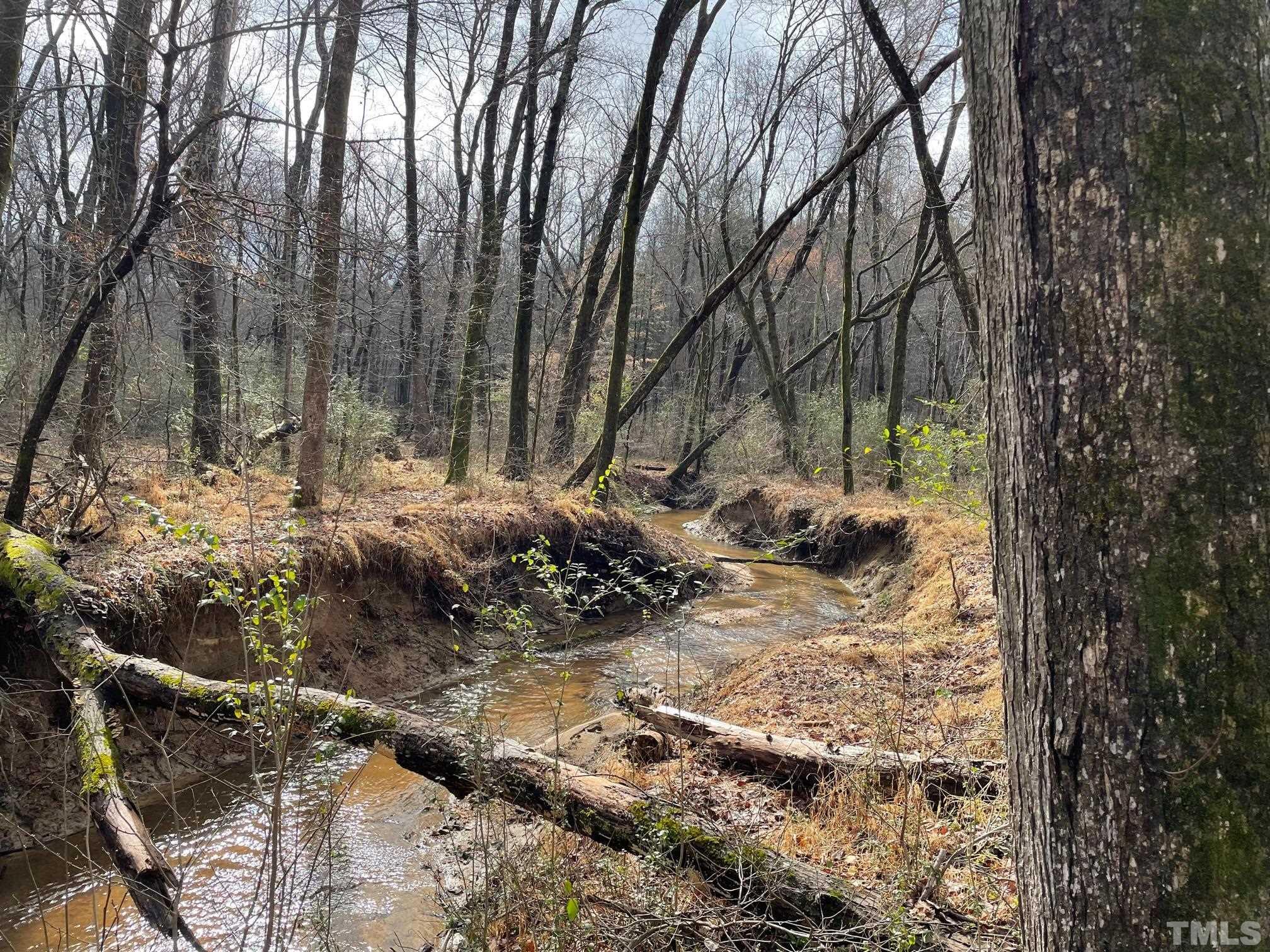 0 Fish Stallings Road Henderson, NC 27537 - Photo 4 of 7 a view of a forest filled with trees