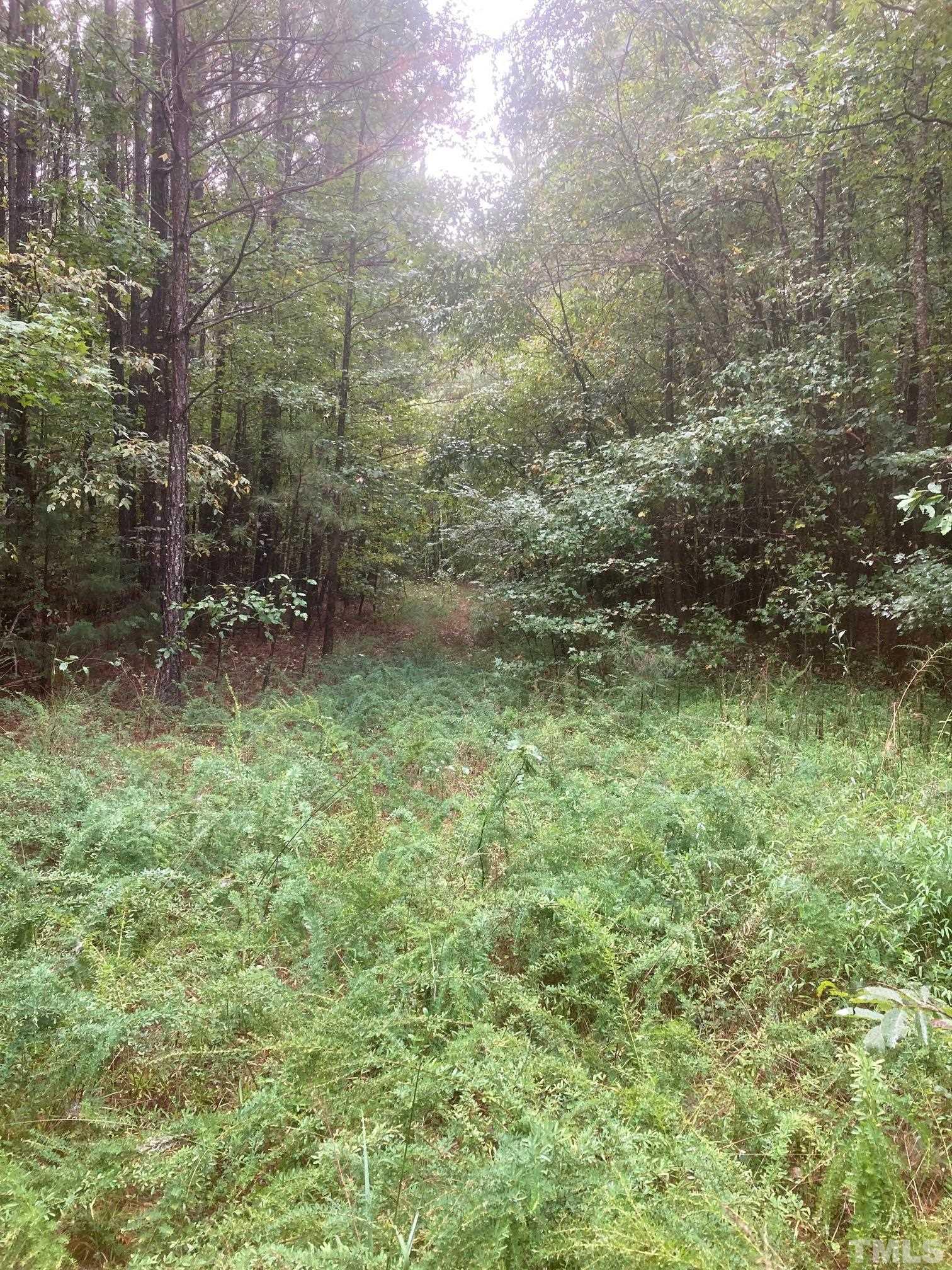 0 Fish Stallings Road Henderson, NC 27537 - Photo 7 of 7 a view of a green field