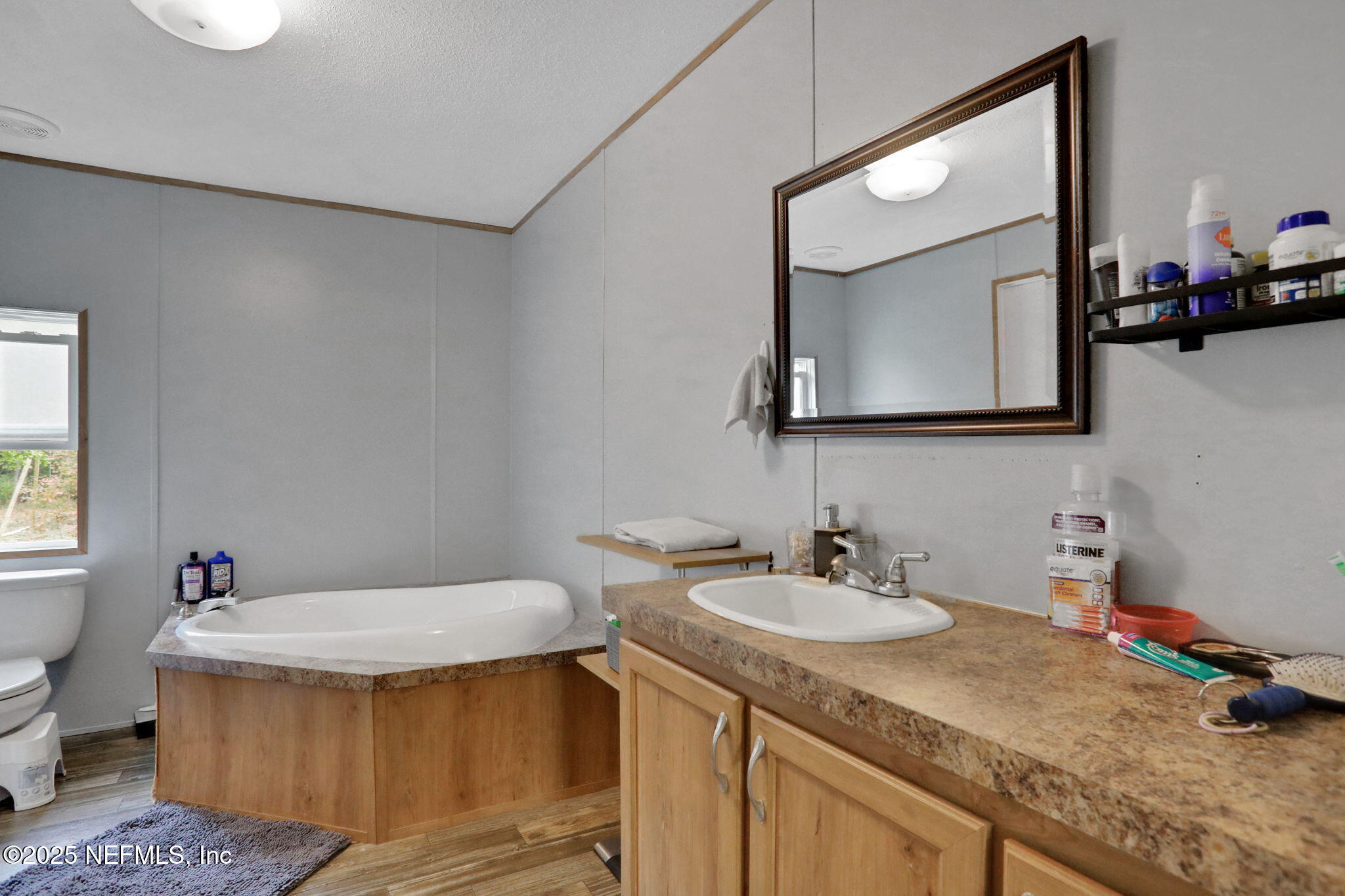 4527 Bondarenko Road Keystone Heights, FL 32656 - Photo 20 of 56 a bathroom with a sink and a mirror