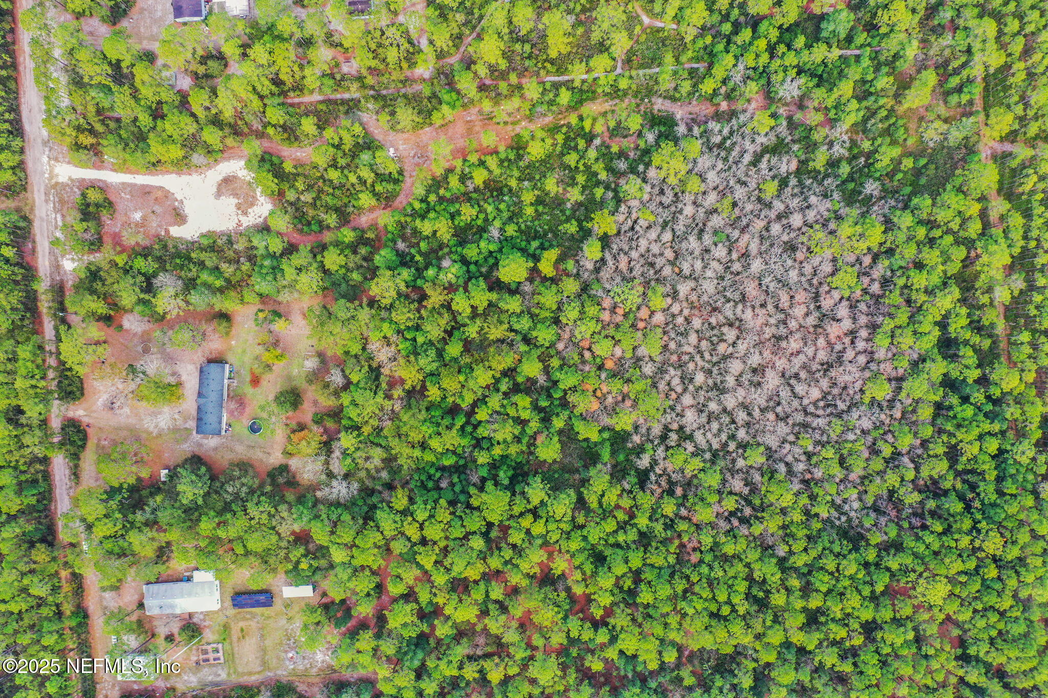 4527 Bondarenko Road Keystone Heights, FL 32656 - Photo 47 of 56 17-web-or-mls-DJI_0719