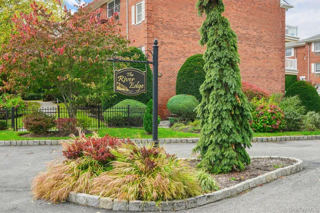 a view of a garden with potted plants