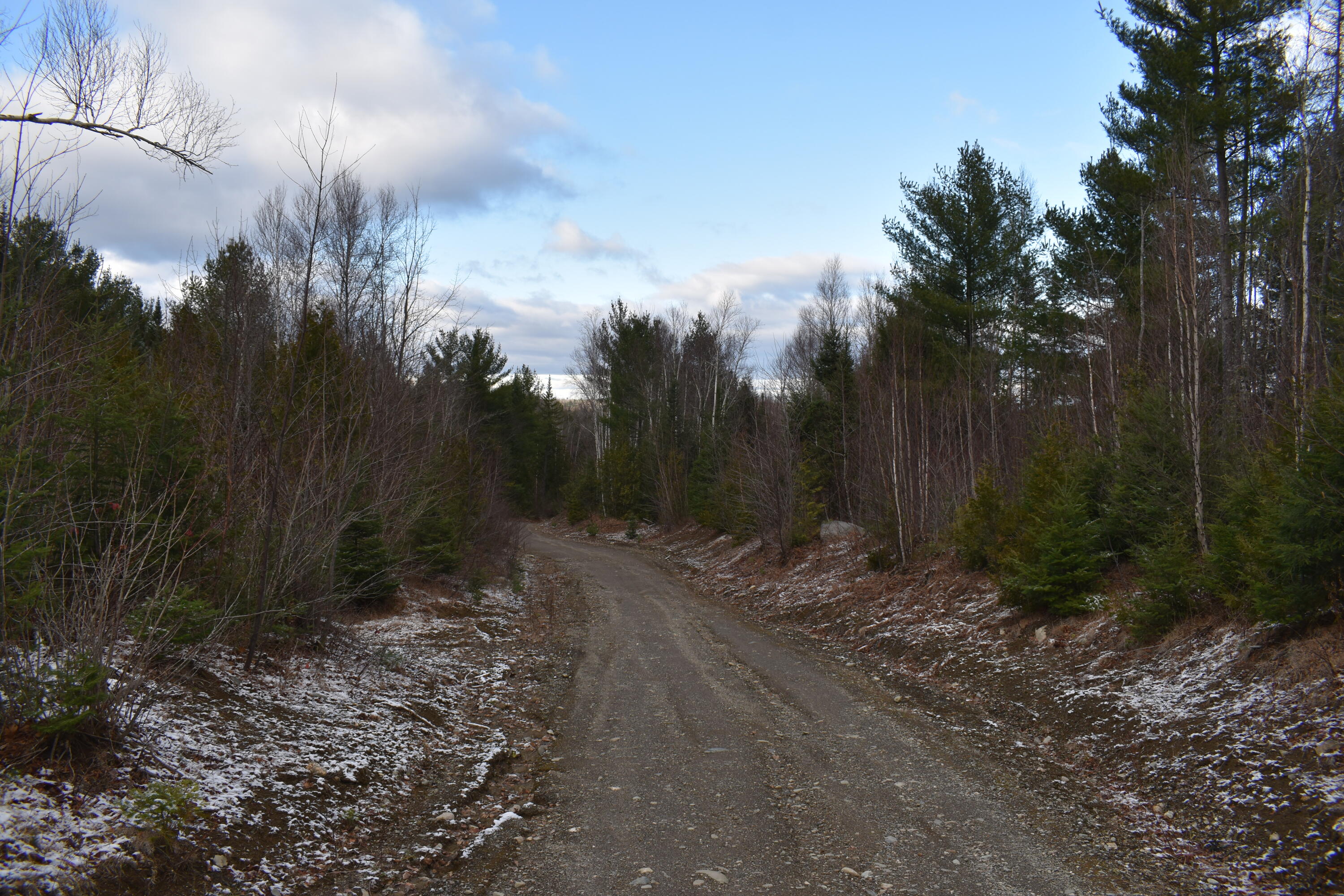 Lot 4 McGinley Road Springfield, ME 04487 - Photo 33 of 34 DSC_0489