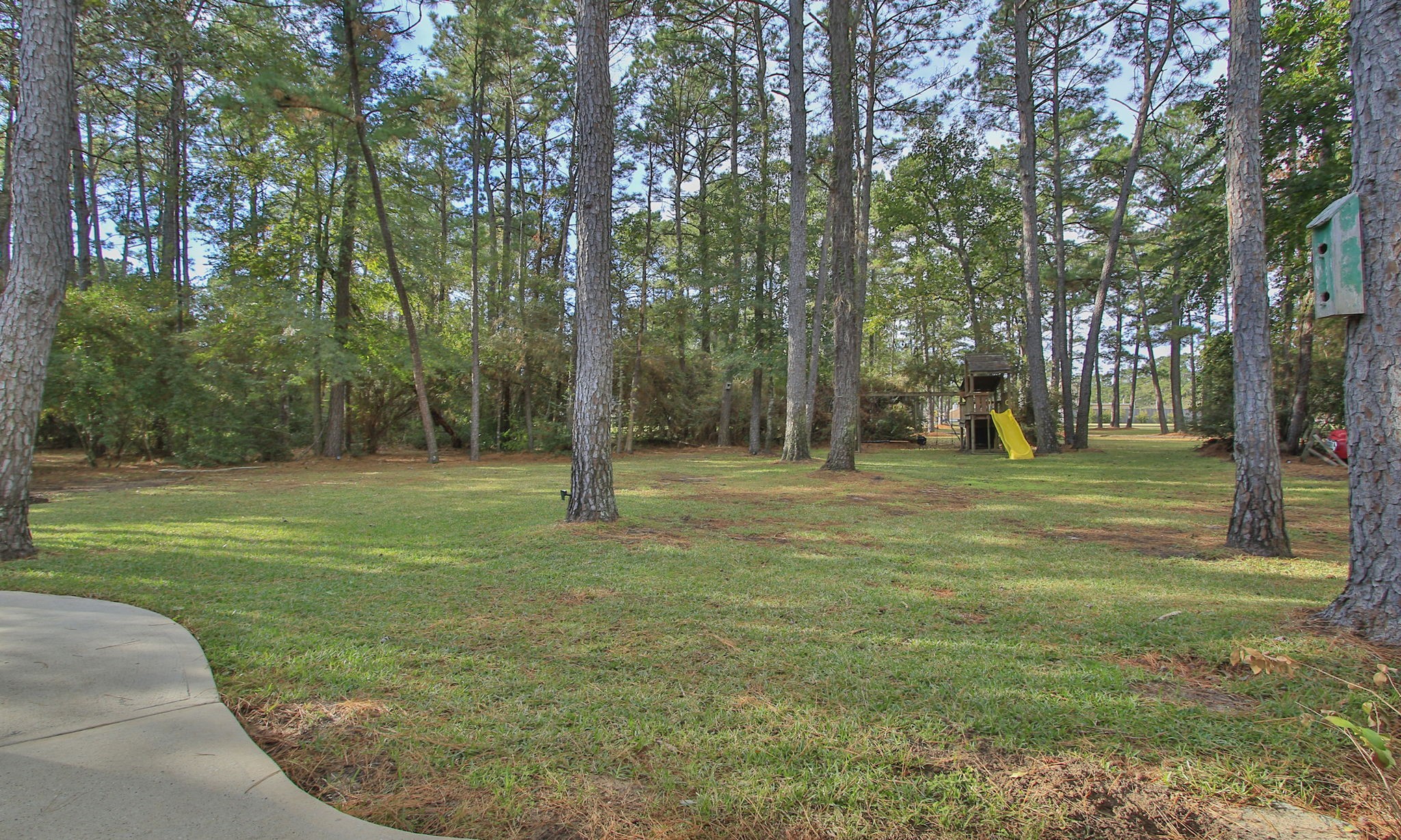 40407 Manor Drive Magnolia, TX 77354 - Photo 43 of 50