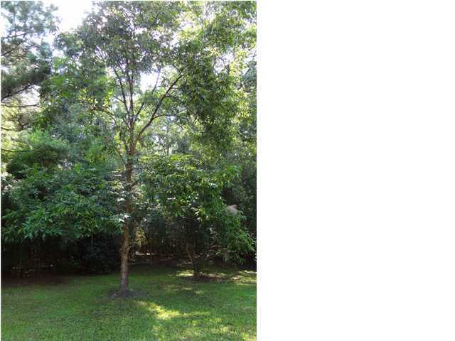 817 Ridgeville Road Ridgeville, SC 29472 - Photo 20 of 24 Additional Photo