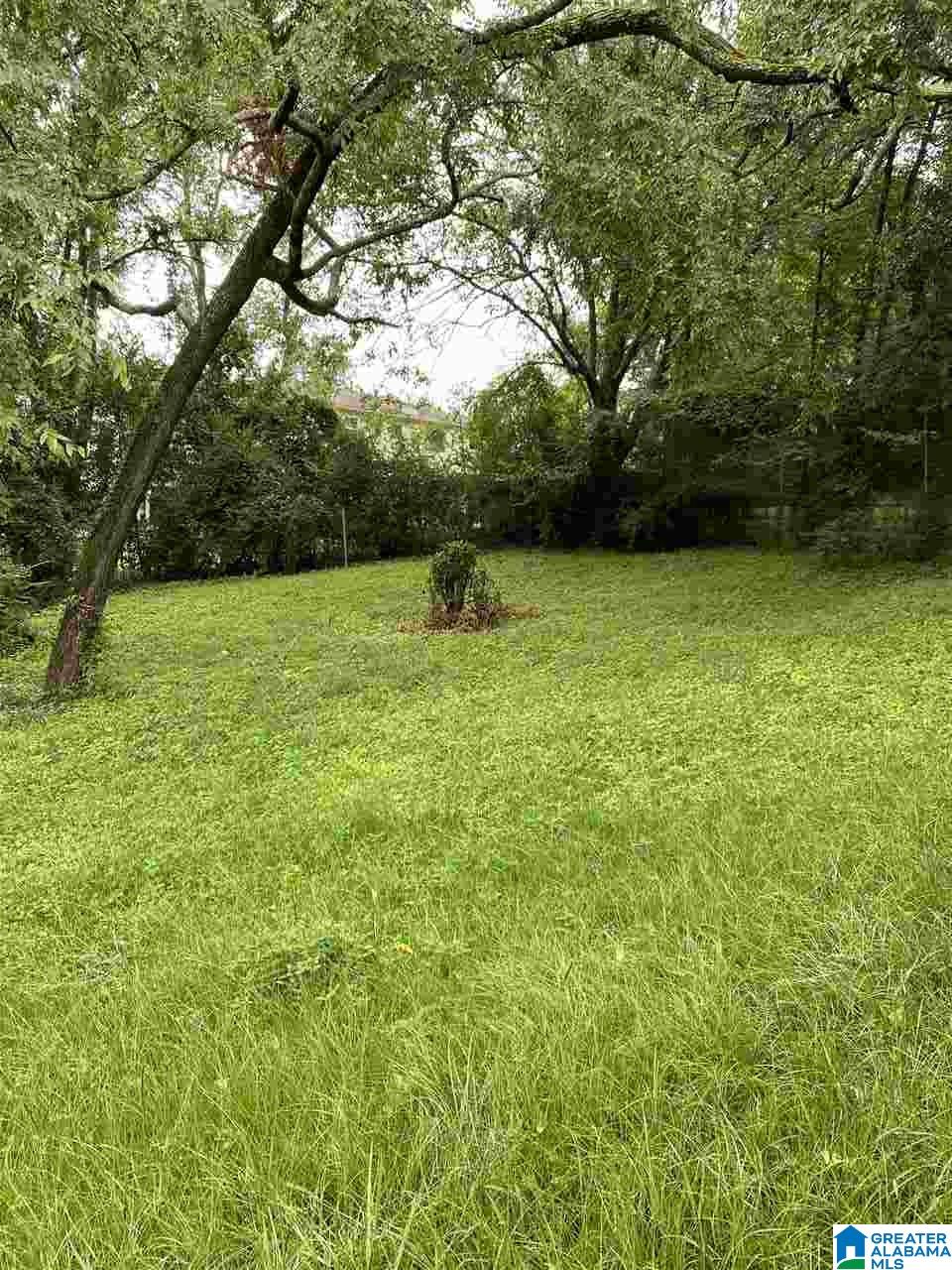1533 Maple Avenue Southwest Birmingham, AL 35211 - Photo 10 of 12
