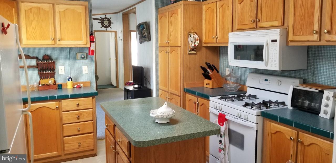 31566 Janice Road Lewes, DE 19958 - Photo 7 of 12 Bright Spacious Kitchen with plenty of storage