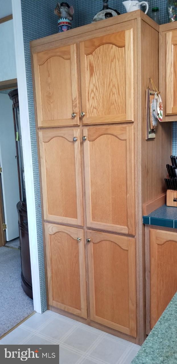 31566 Janice Road Lewes, DE 19958 - Photo 8 of 12 Spacious Pantry Cabinet
