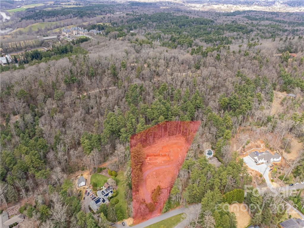 61 Forest Road Asheville, NC 28803 - Photo 3 of 17 Gallery Image 3
