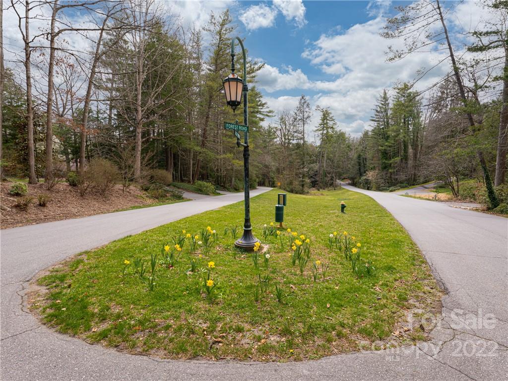 61 Forest Road Asheville, NC 28803 - Photo 6 of 17 Gallery Image 6