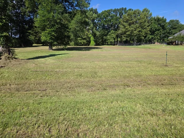 a view of a field with an trees