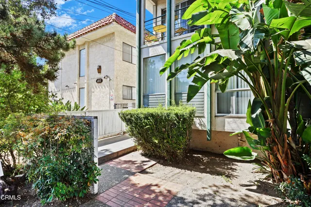 a view of a potted plants in front of a house