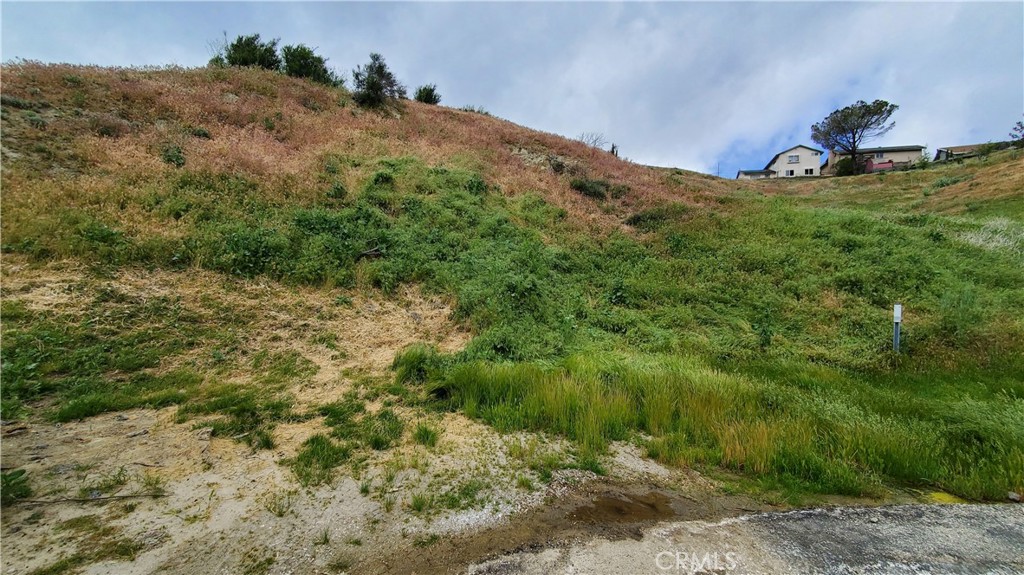 0 Cutwood Road Lake Elizabeth, CA 93532 - Photo 3 of 11 a view of a dry yard