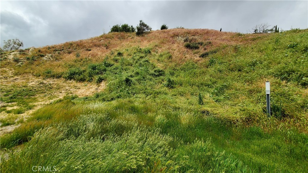 0 Cutwood Road Lake Elizabeth, CA 93532 - Photo 4 of 11 a view of a field