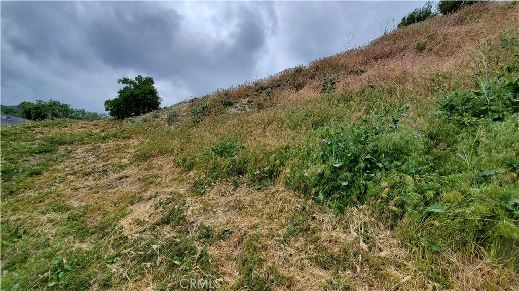 0 Cutwood Road Lake Elizabeth, CA 93532 - Photo 5 of 11 a view of a field