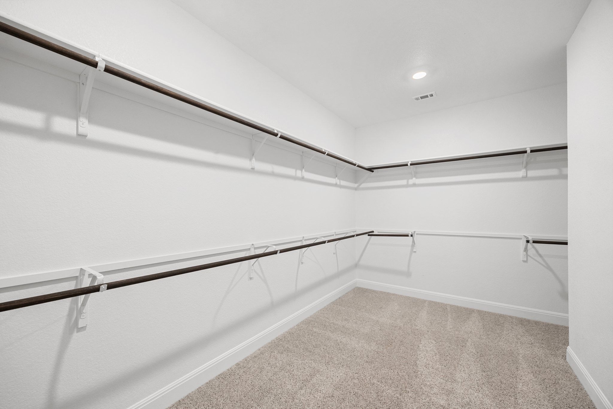 16804 Guido Cove Pflugerville, TX 78660 - Photo 17 of 38 Walk in closet featuring light colored carpet