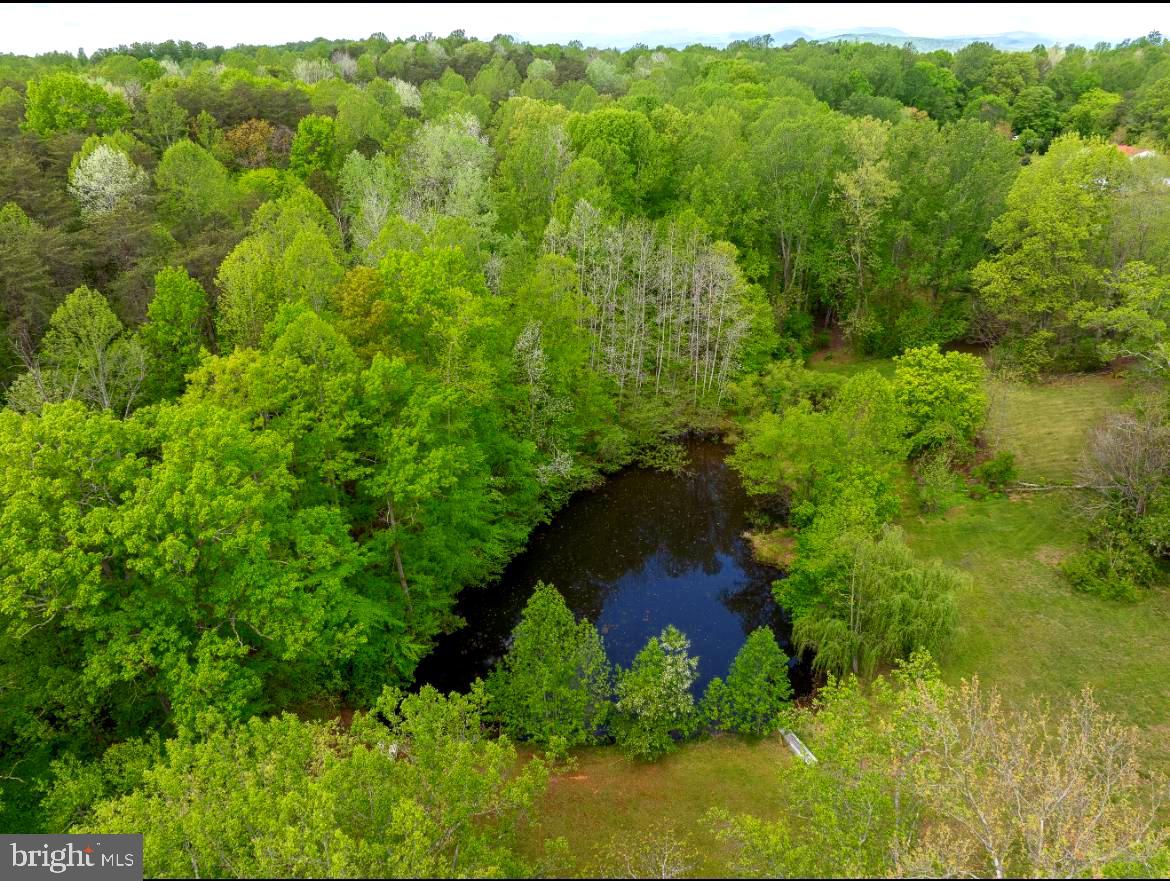 13090 Hazel River Road Rixeyville, VA 22737 - Photo 5 of 34