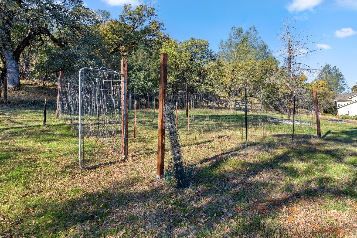 16153 Indian Springs Road Penn Valley, CA 95946 - Photo 25 of 64 a view of a park with large trees