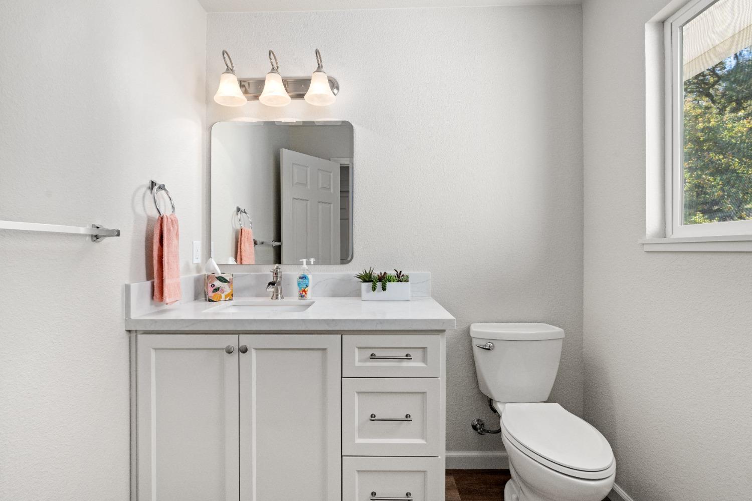 16153 Indian Springs Road Penn Valley, CA 95946 - Photo 40 of 64 a bathroom with a toilet a sink and mirror
