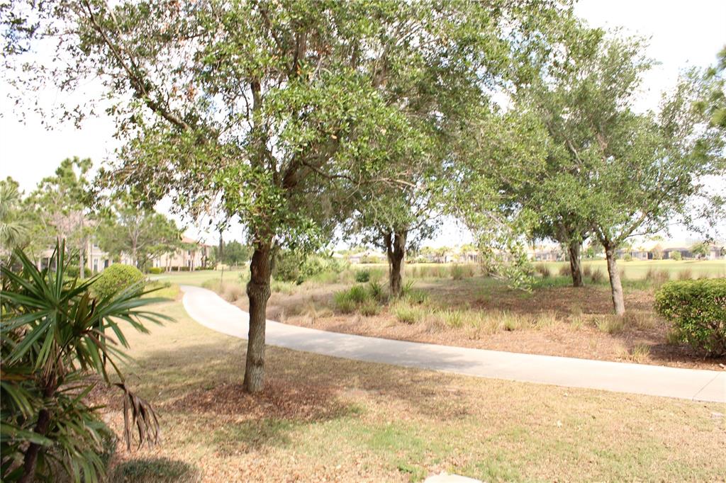 13711 Messina Loop, Unit 104 Bradenton, FL 34211 - Photo 38 of 70 a view of yard with trees