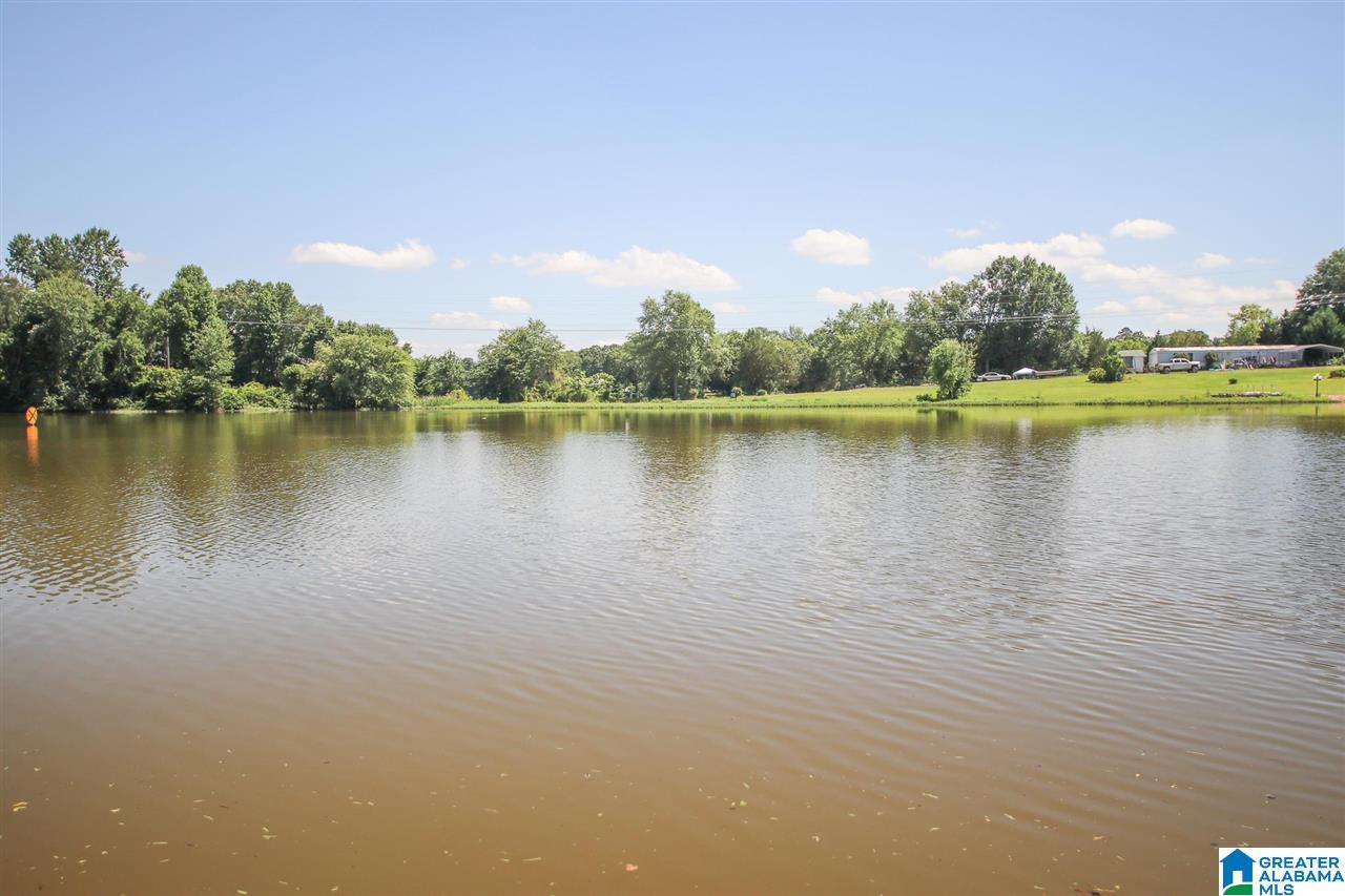 385 Eureka Road Lincoln, AL 35096 - Photo 46 of 49