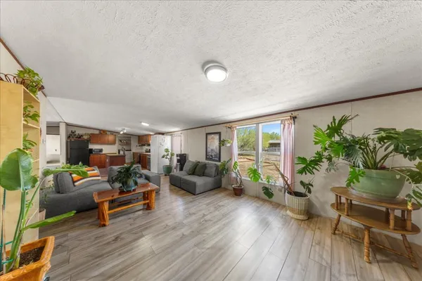 a potted plant sitting on top of a wooden floor
