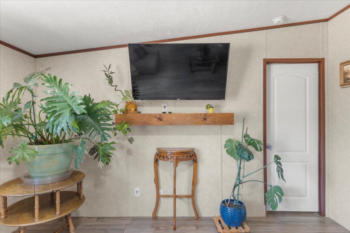 1307 Graef Road, Unit B Kyle, TX 78640 - Photo 25 of 40 a potted plant sitting on top of a wooden floor