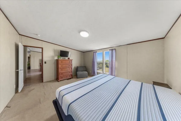 a bedroom with a bed and couch