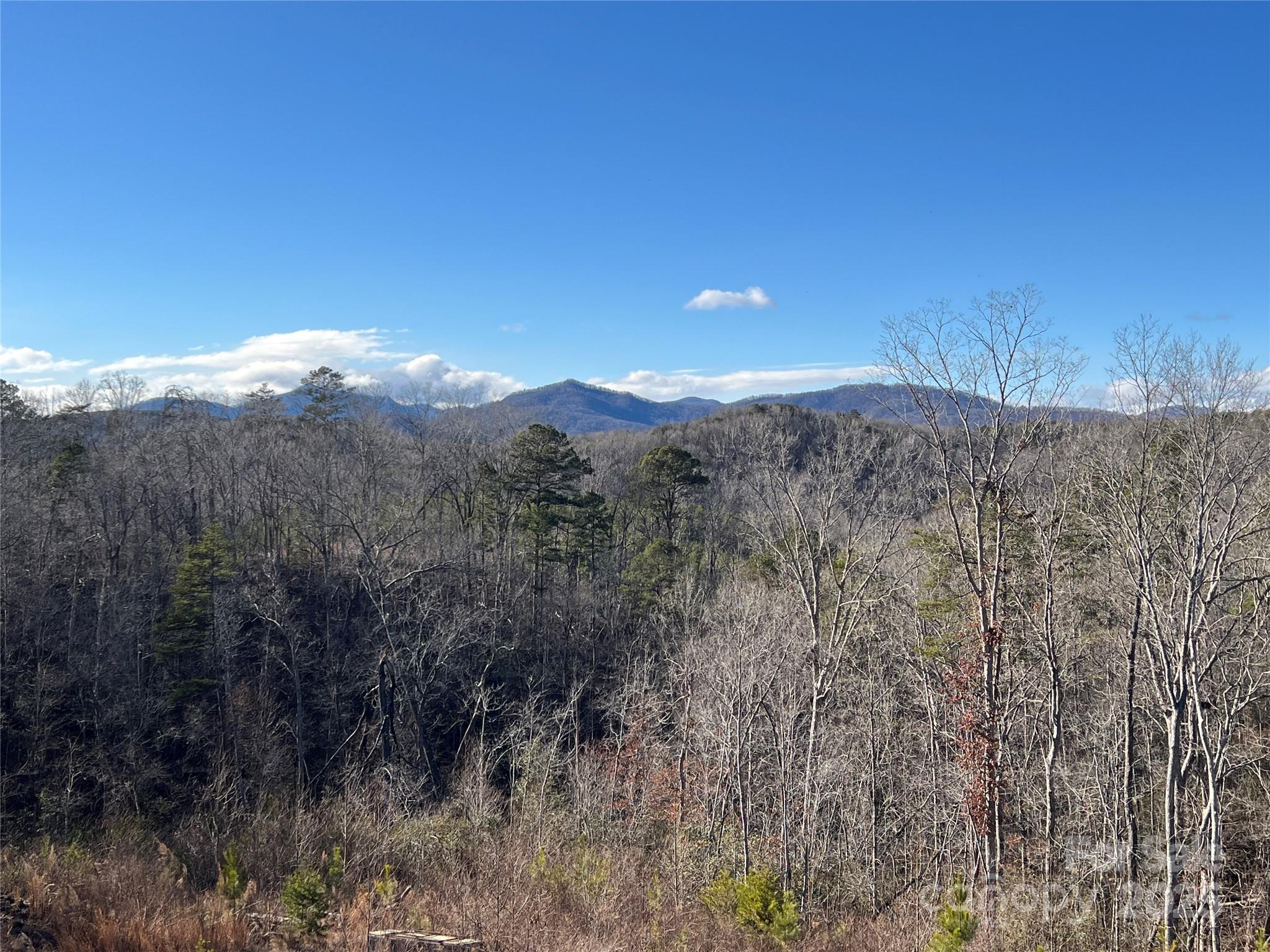 173 Shady Bark Lane Rutherfordton, NC 28139 - Photo 31 of 35