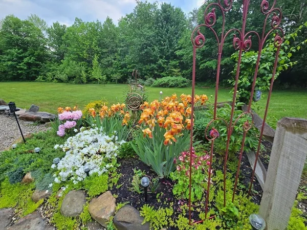 a view of a garden with plants and large trees