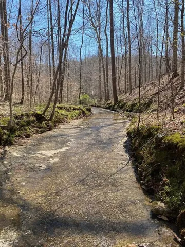 $625,000 | 0 Barnhill Road, Primm Springs, TN 38476