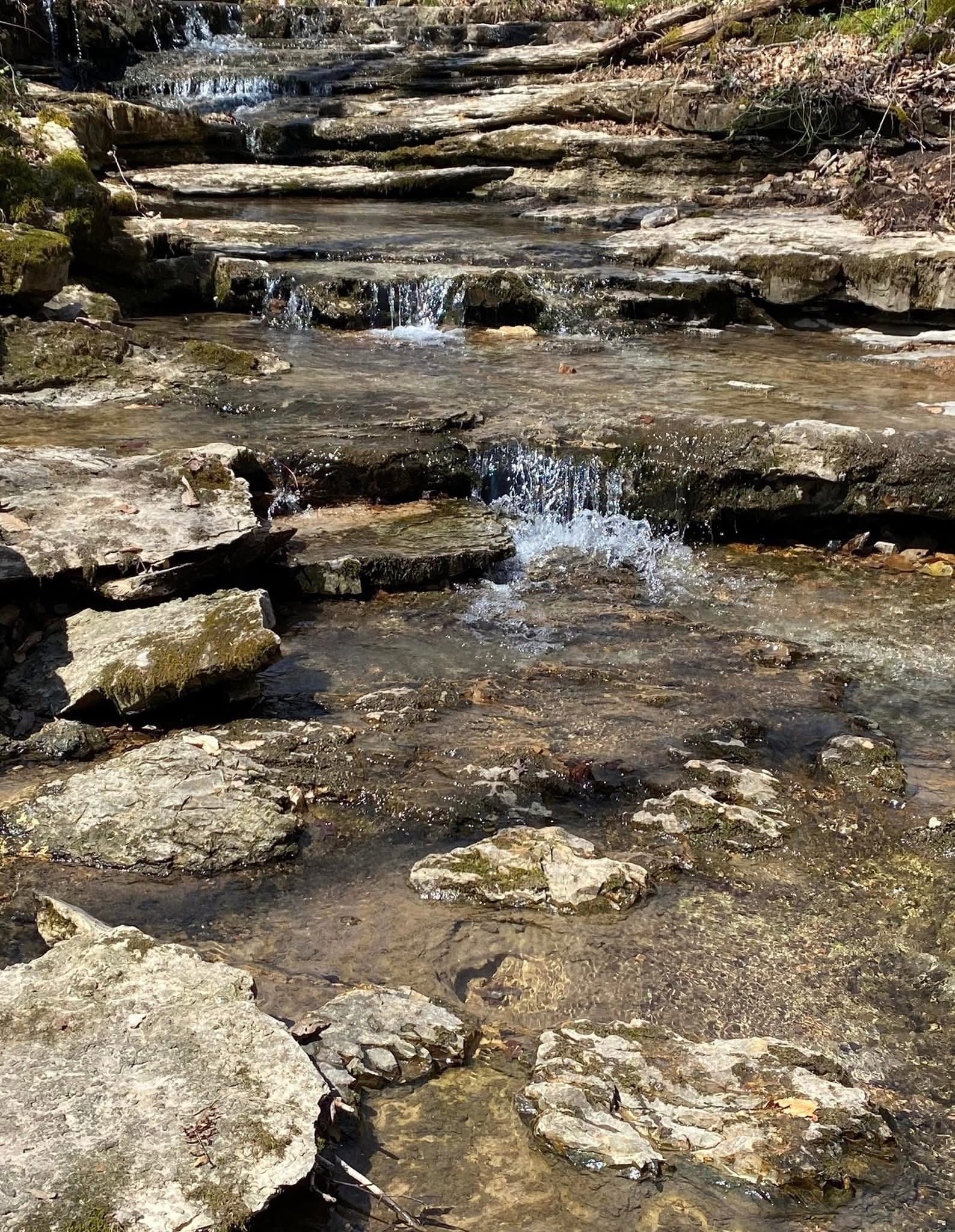 0 Barnhill Road Primm Springs, TN 38476 - Photo 12 of 13 a view of a lake view