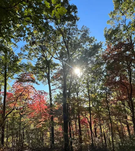 $625,000 | 0 Barnhill Road, Primm Springs, TN 38476