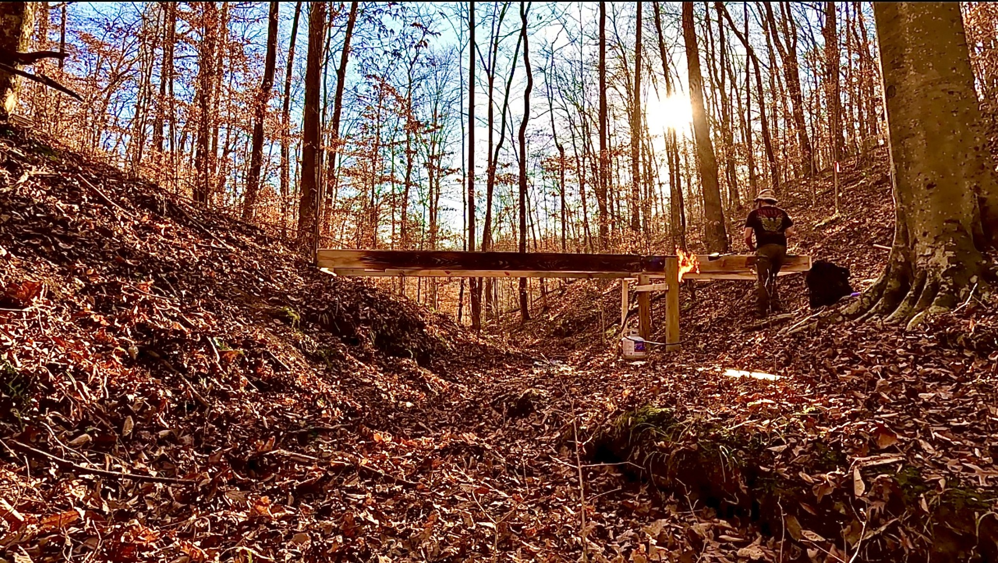 0 Barnhill Road Primm Springs, TN 38476 - Photo 5 of 13 a view of a yard with plants and wooden fence