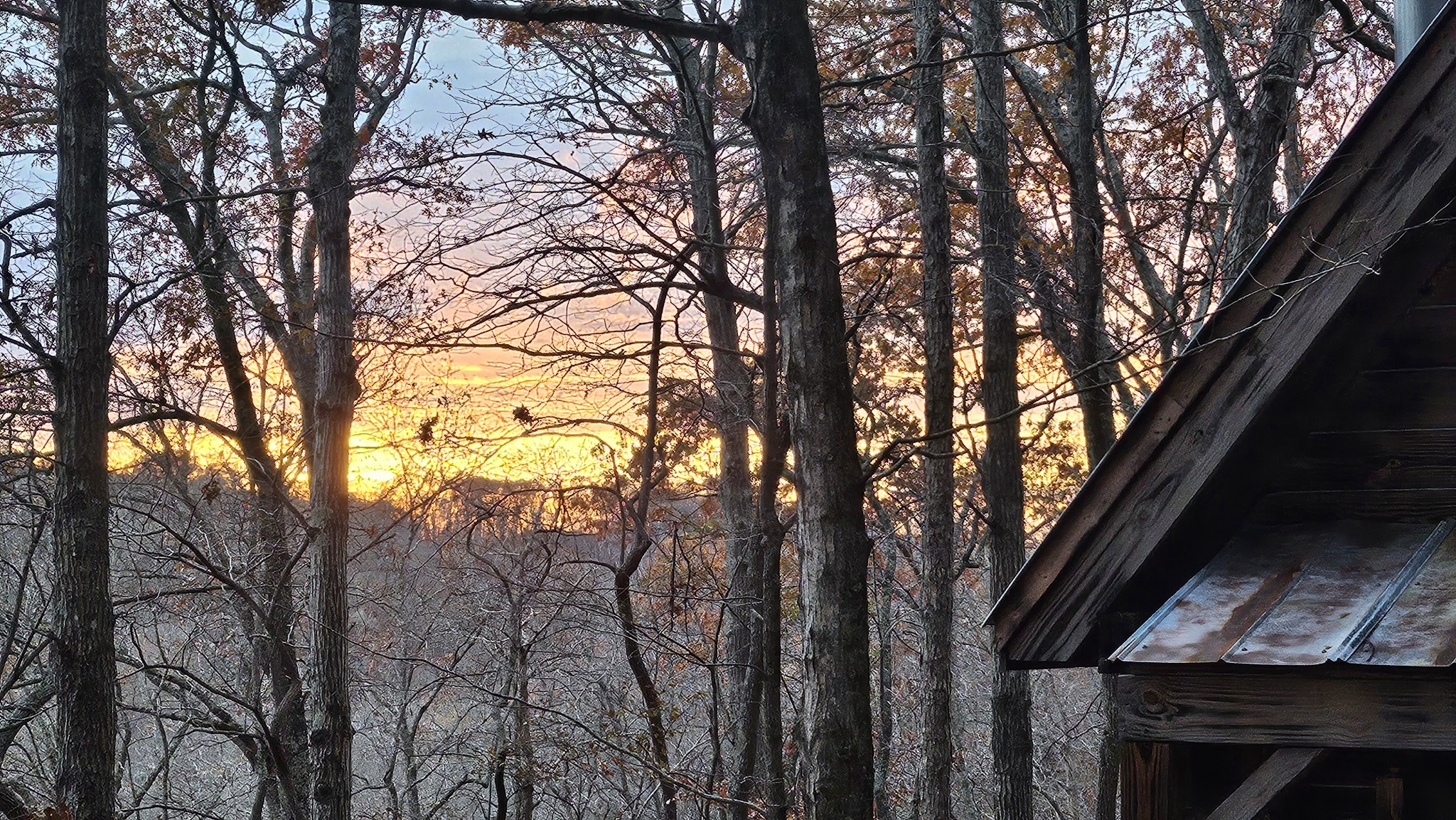 0 Barnhill Road Primm Springs, TN 38476 - Photo 8 of 13 a view of trees in front of house