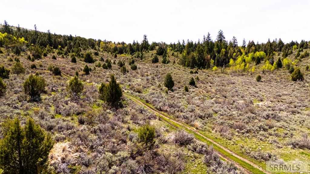Tbd Fish Creek Road Lava Hot Springs, ID 83246 - Photo 11 of 22