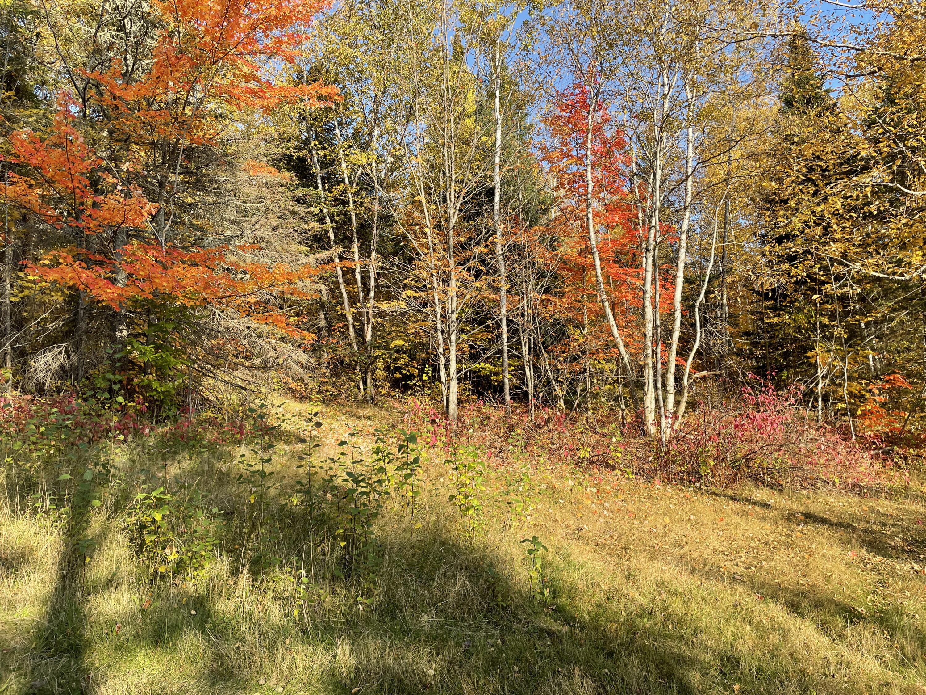 16 Clavette Road Fort Kent, ME 04743 - Photo 64 of 77 IMG_9956