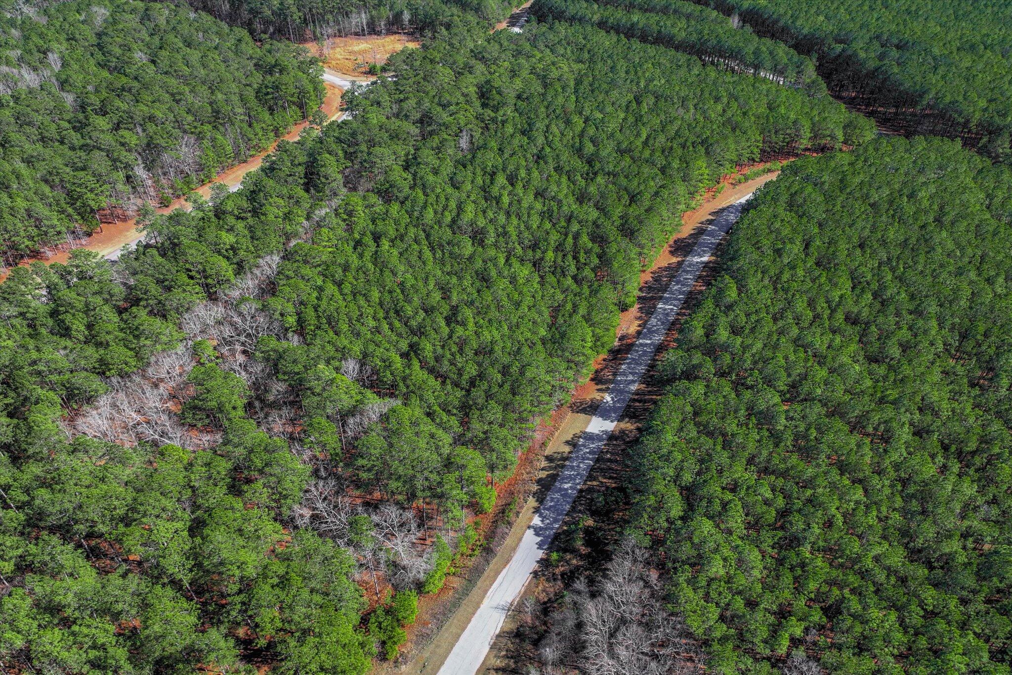 1265 Rogers Road Tignall, GA 30668 - Photo 2 of 10 02-104