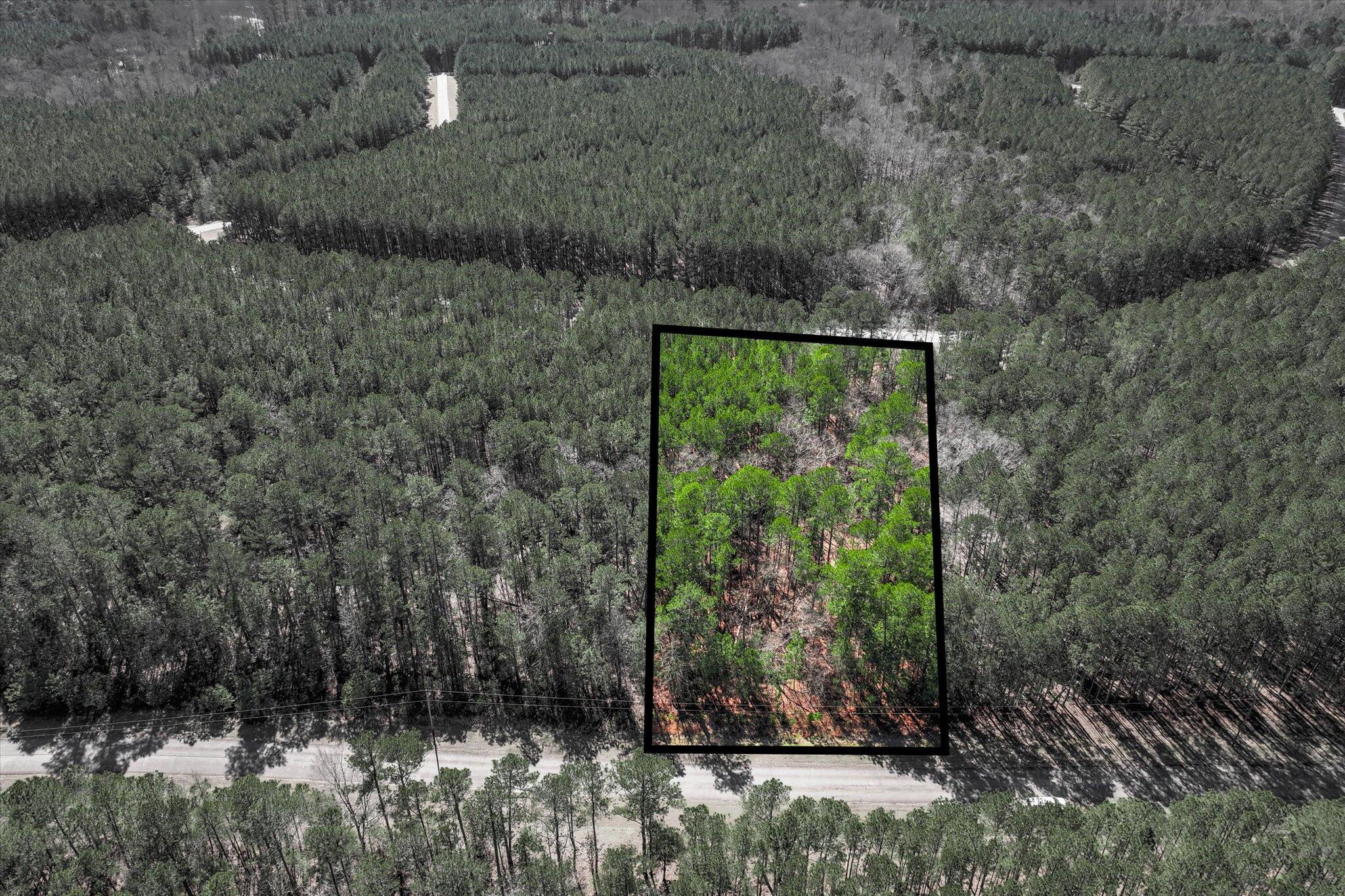 1265 Rogers Road Tignall, GA 30668 - Photo 3 of 10 03-107