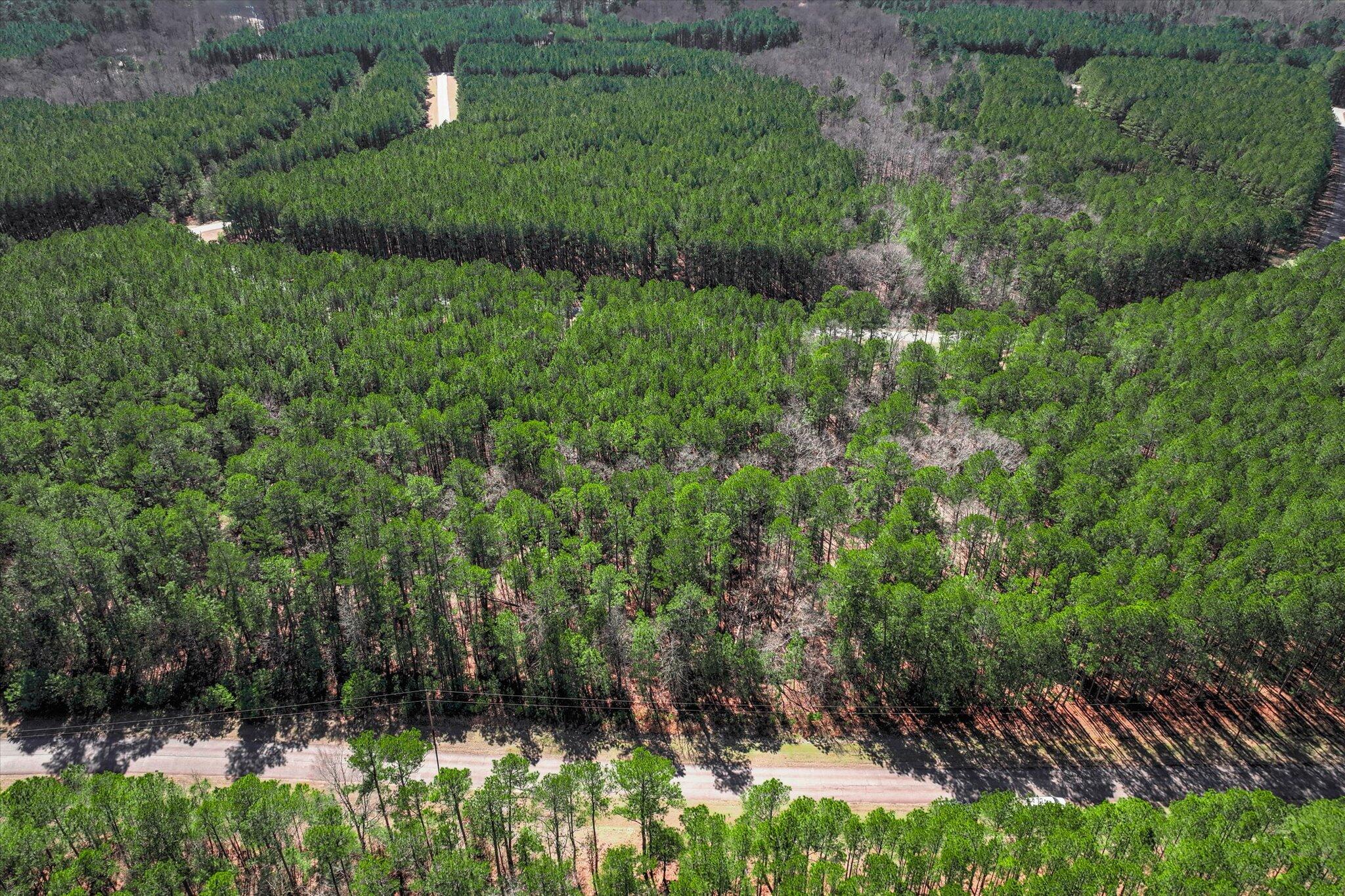 1265 Rogers Road Tignall, GA 30668 - Photo 4 of 10 05-108