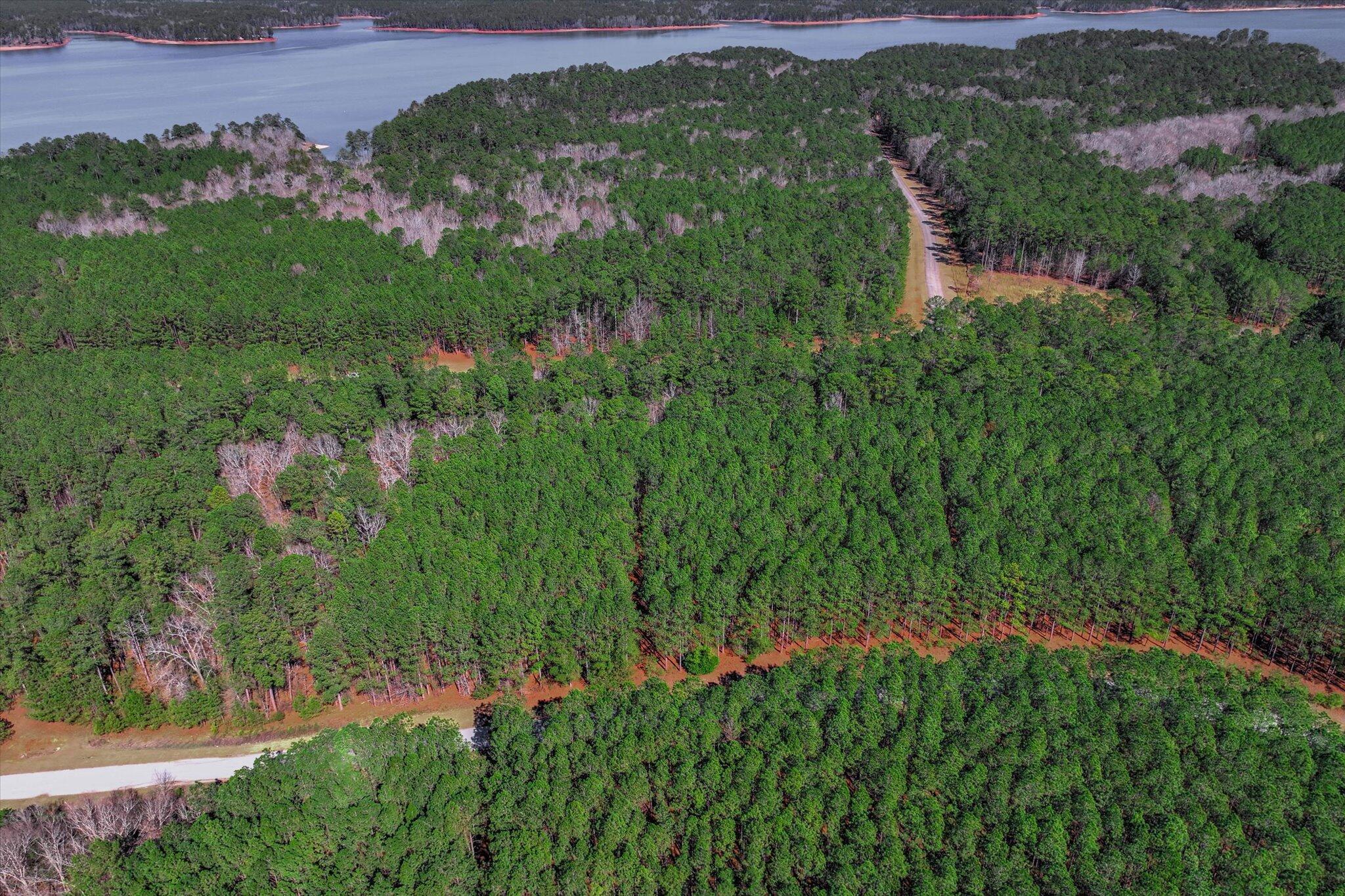 1265 Rogers Road Tignall, GA 30668 - Photo 5 of 10 06-101