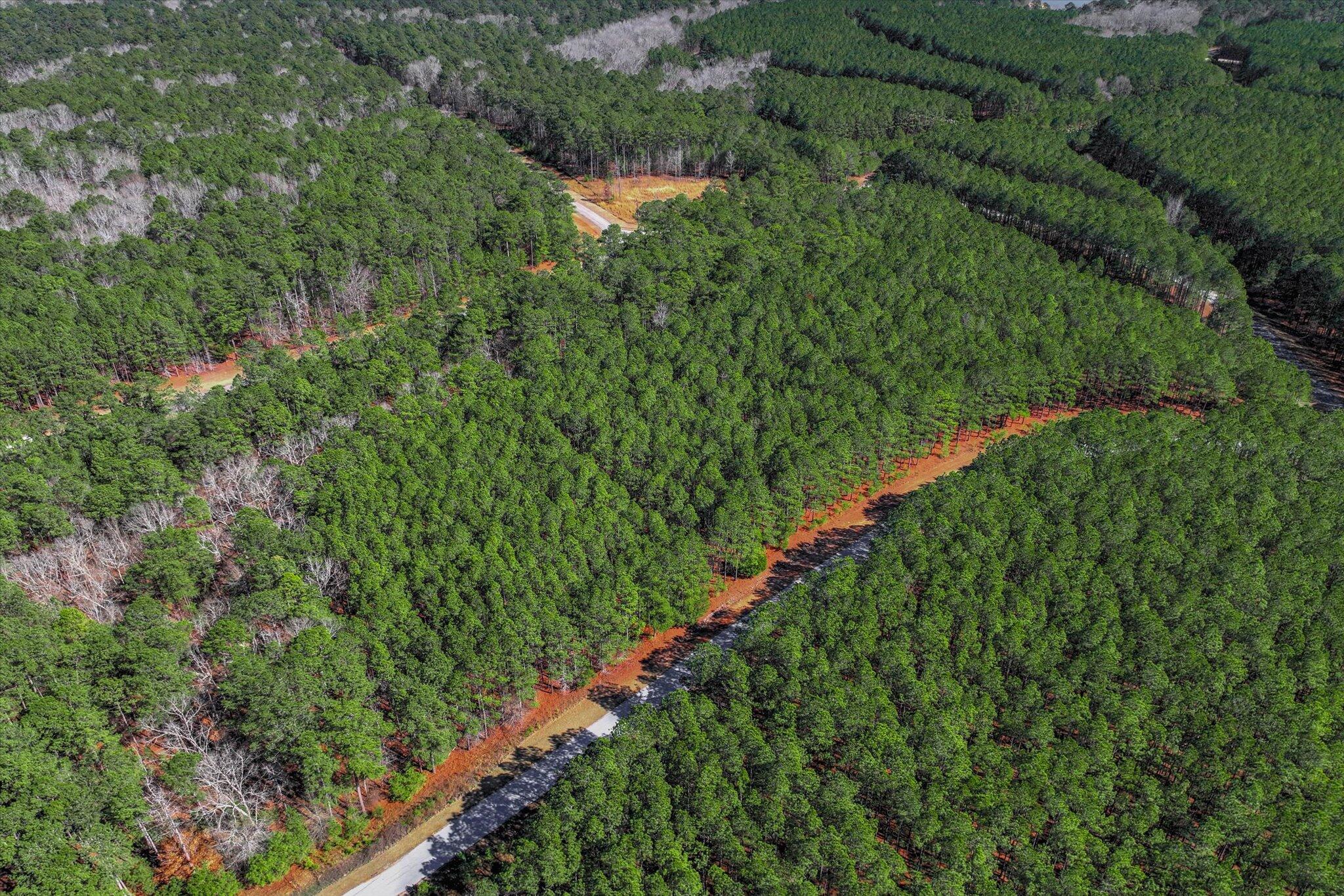 1265 Rogers Road Tignall, GA 30668 - Photo 6 of 10 07-102