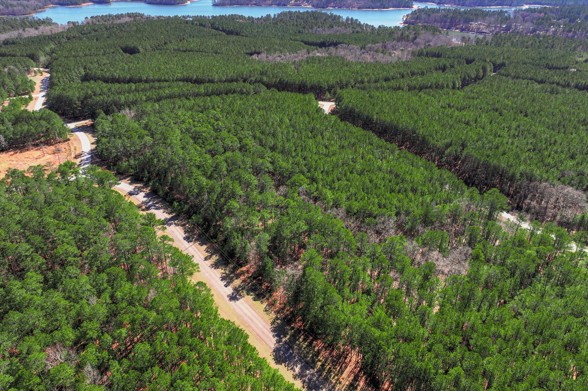 1265 Rogers Road Tignall, GA 30668 - Photo 8 of 10 09-106