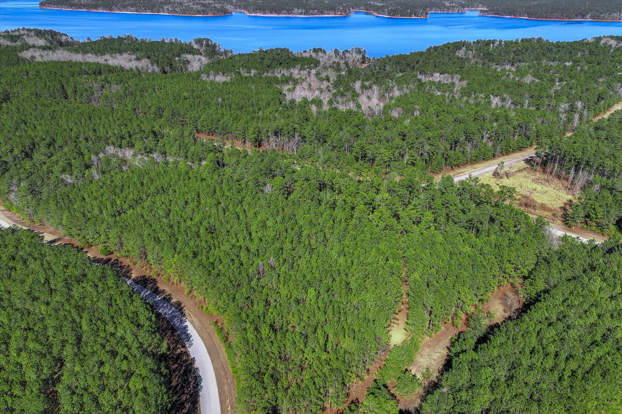 1265 Rogers Road Tignall, GA 30668 - Photo 10 of 10 11-110