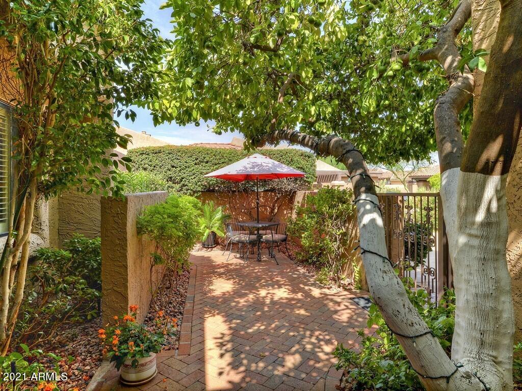 4446 East Camelback Road, Unit 109 Phoenix, AZ 85018 - Photo 23 of 29 Side Courtyard