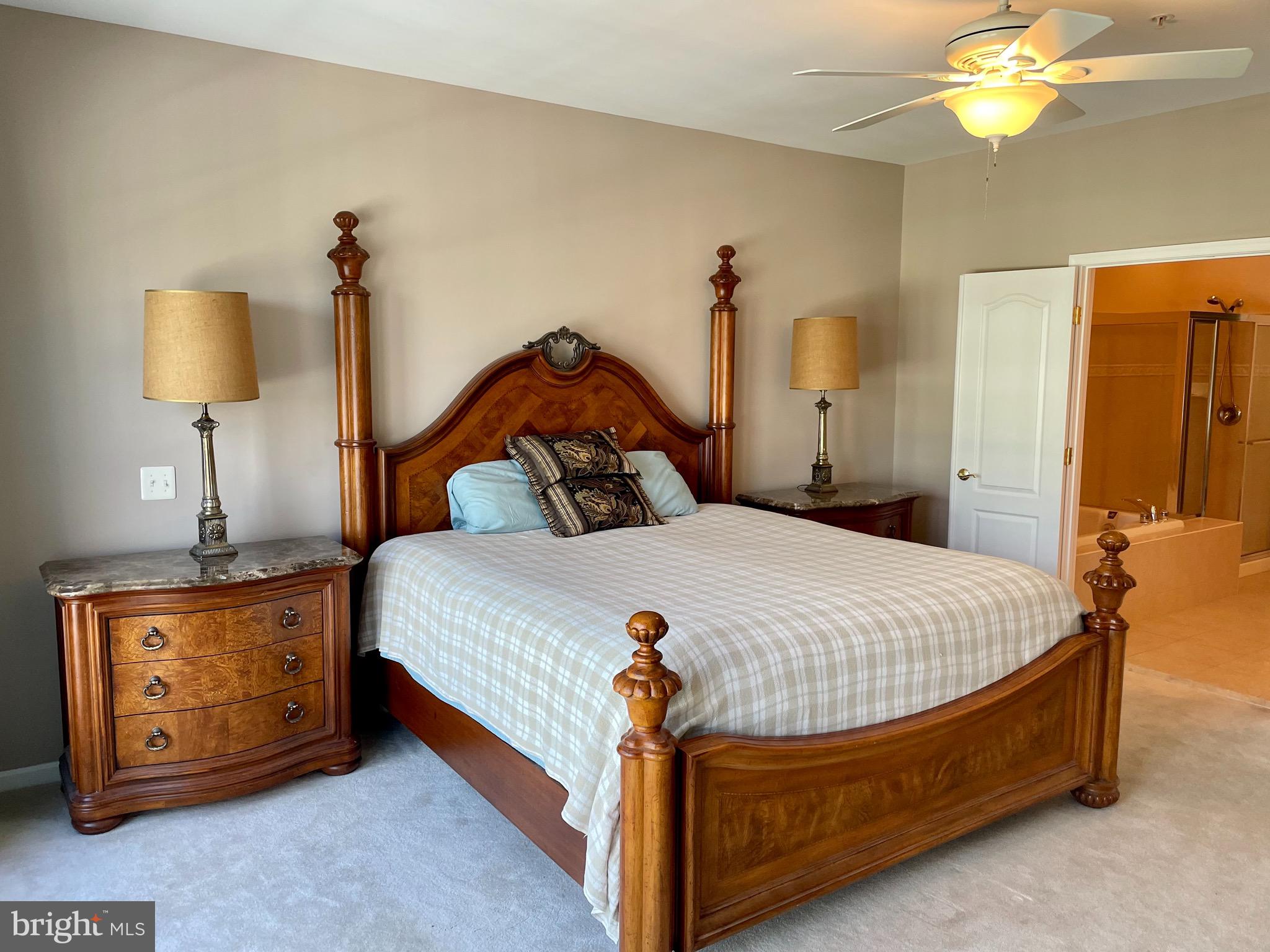 8258 Academy Road, Unit 6 Ellicott City, MD 21043 - Photo 10 of 36 Master bedroom with french doors to en suite bath